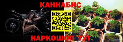 прущая мука Камышлов